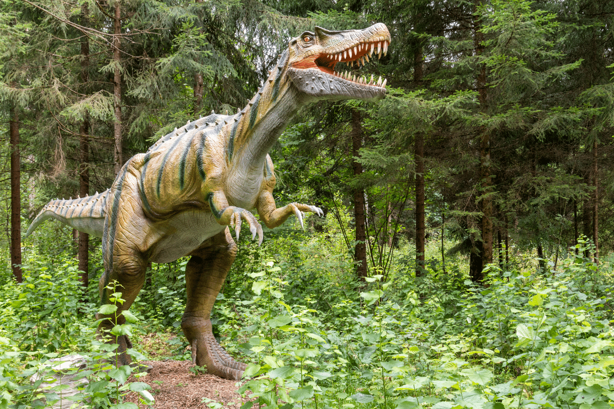 Dino Park Râșnov